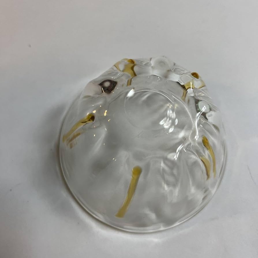 前田彰子  作家  グラス  ガラス Amazon.co.jp: 前田彰子作品 ガラス器 小グラス 小鉢 : ホーム